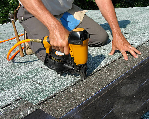 Best Roof Gutter Cleaning  in Windy Hills, KY